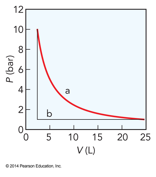 The reversible isothermal expansion curve is a smooth logarithmic decay from high pressure at low volume to low pressure at high volume. The irreversible case first first has the pressure instantly drop without a volume change and then the volume changes without a pressure change.